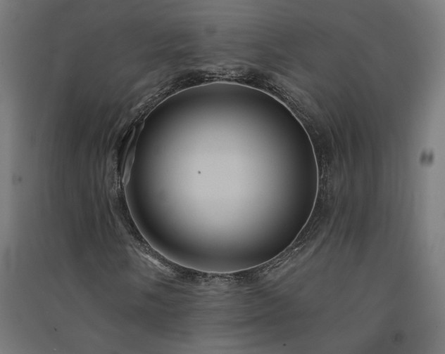 X0000091581058200708201203