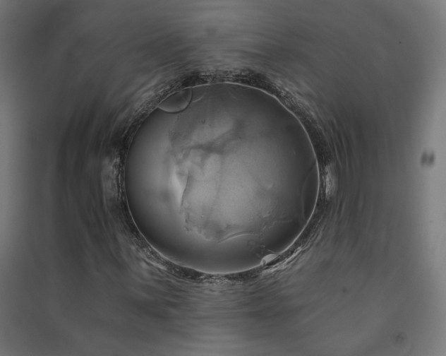 X0000091581059200708201203