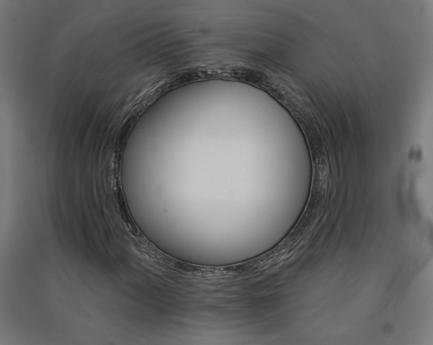 X0000091581060200708201203