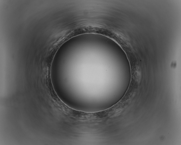 X0000091581061200708201203