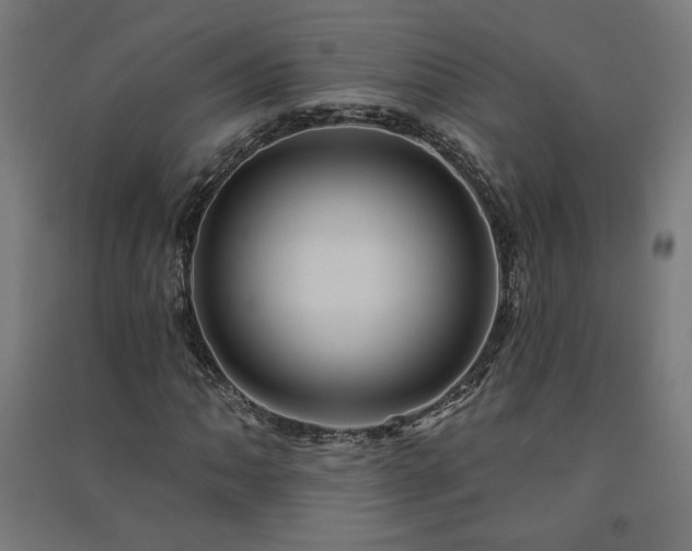 X0000091581062200708201202
