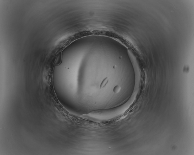 X0000091581063200708201202