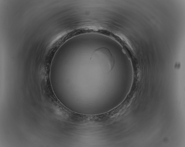 X0000091581064200708201202