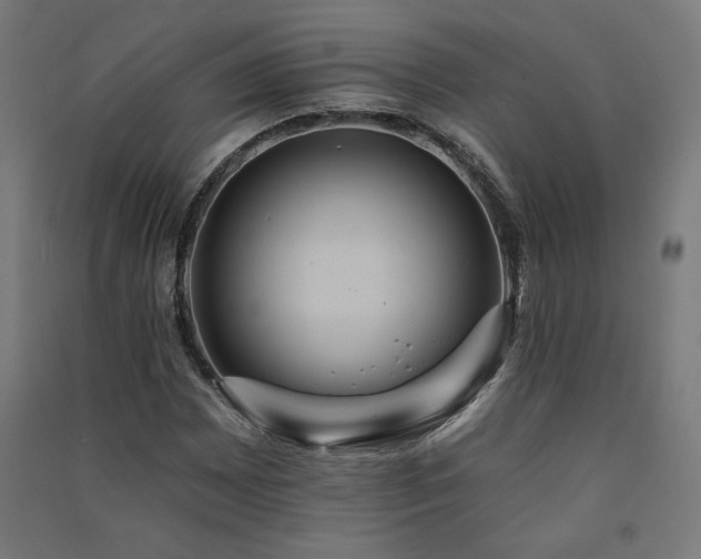 X0000091581065200708201202
