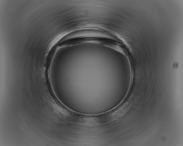 X0000091581066200708201202