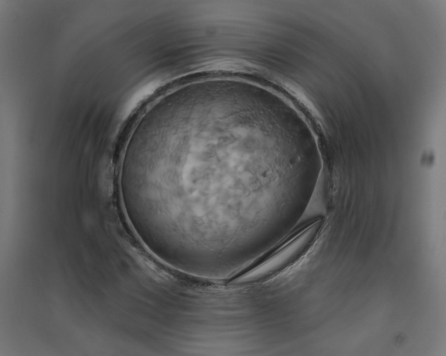 X0000091581067200708201202