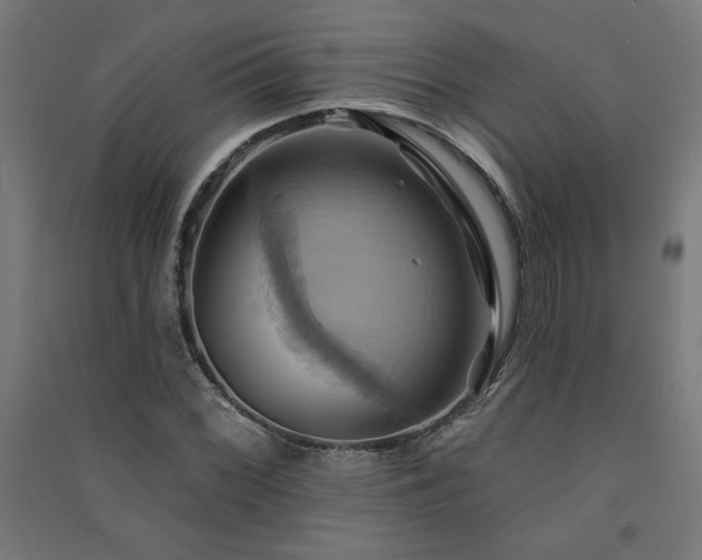 X0000091581068200708201202