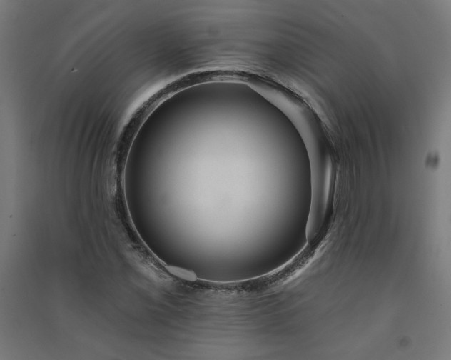 X0000091581069200708201202