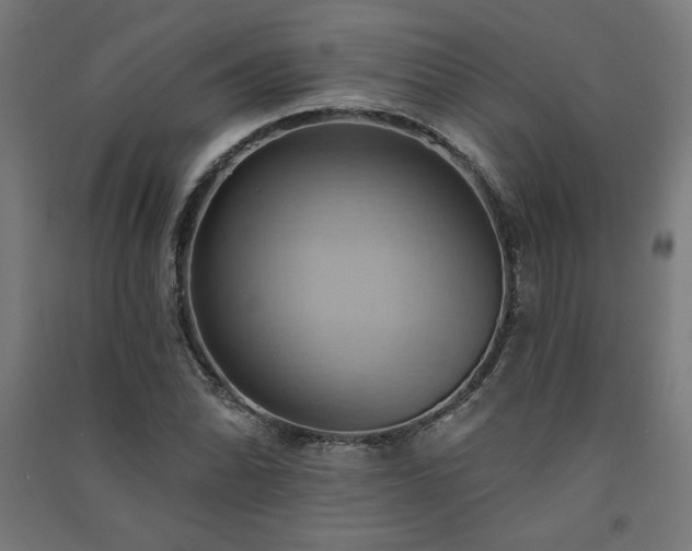 X0000091581070200708201202