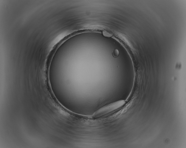 X0000091581071200708201202