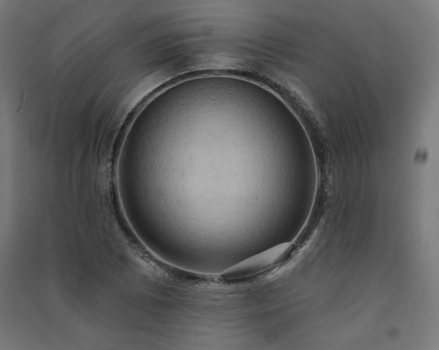 X0000091581073200708201202