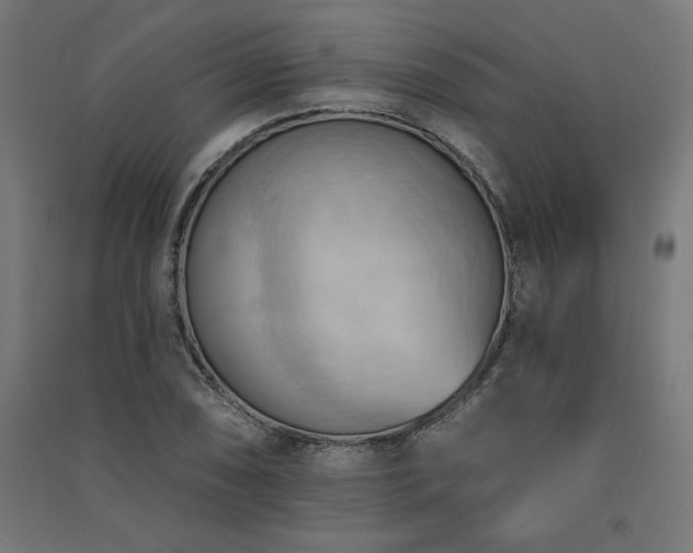 X0000091581074200708201202