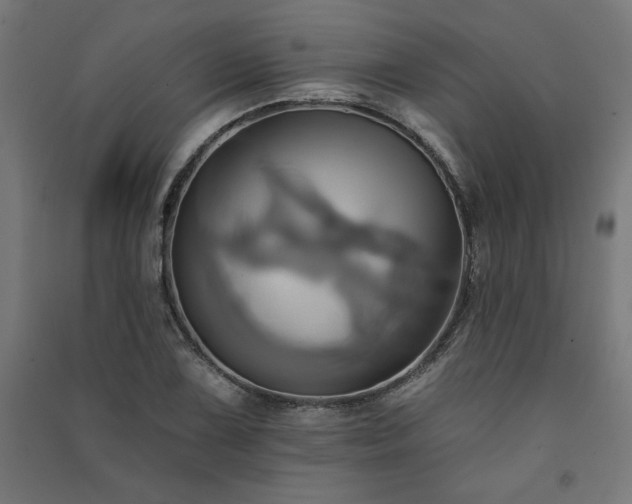 X0000091581075200708201202