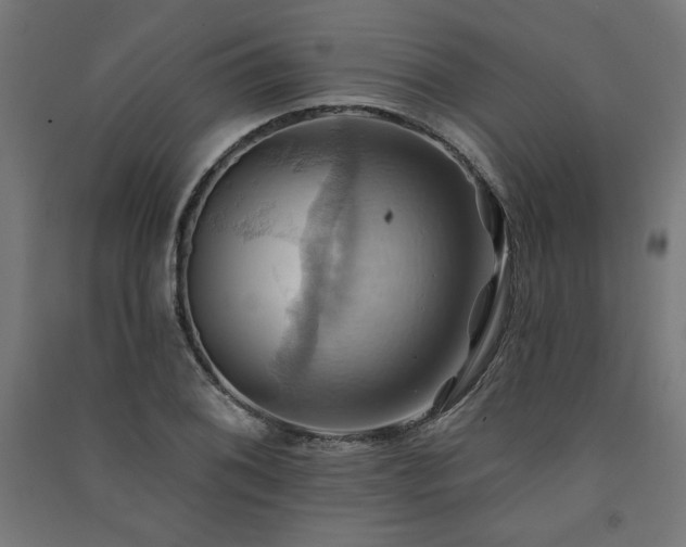 X0000091581076200708201202