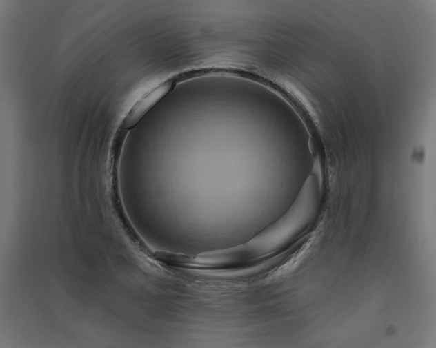 X0000091581077200708201202