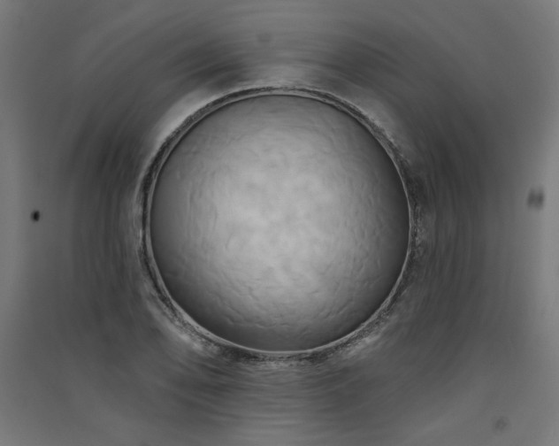 X0000091581078200708201202