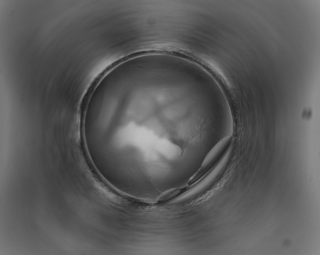 X0000091581079200708201202