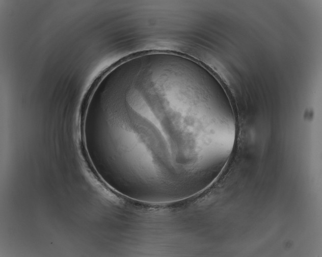 X0000091581080200708201202