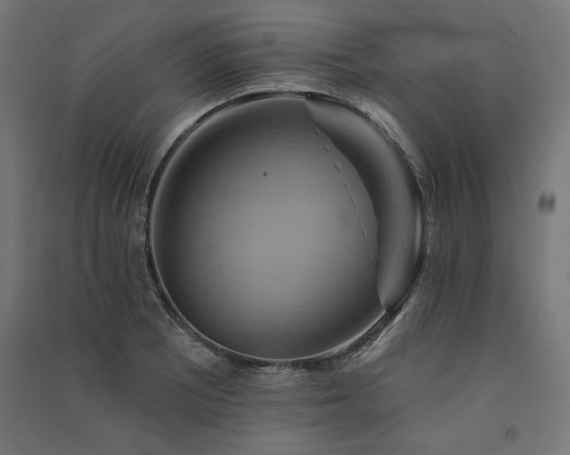 X0000091581081200708201202
