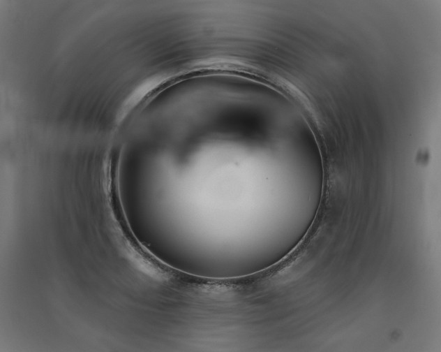 X0000091581082200708201202