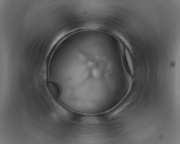 X0000091581083200708201202