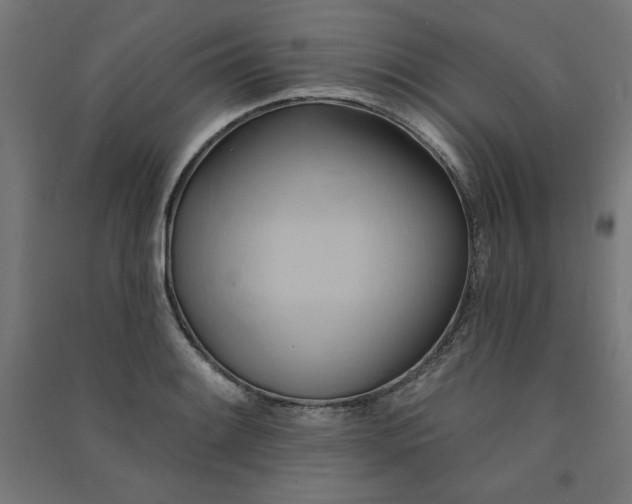 X0000091581084200708201202
