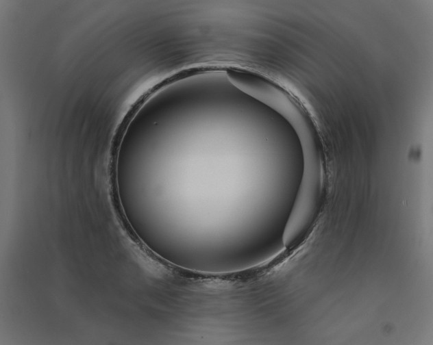 X0000091581085200708201202