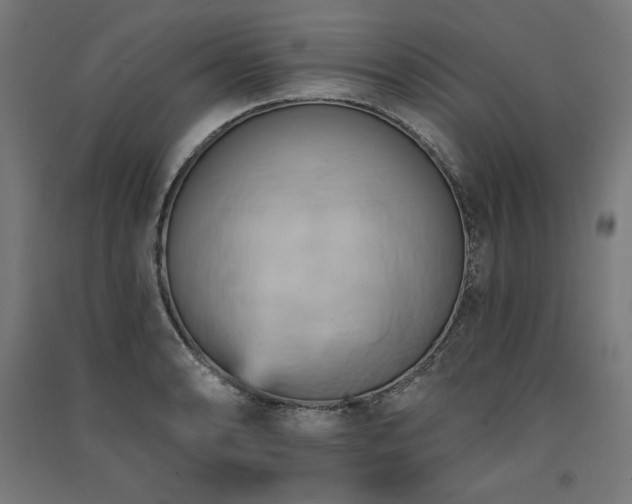 X0000091581086200708201202
