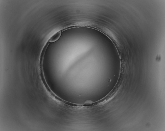 X0000091581087200708201202