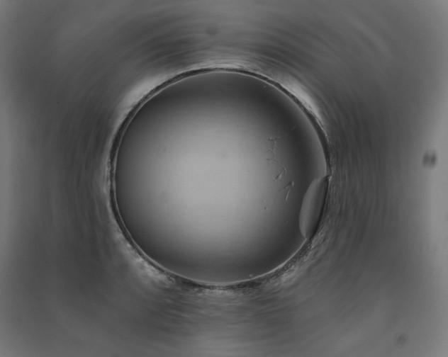 X0000091581088200708201202