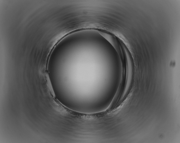 X0000091581089200708201202