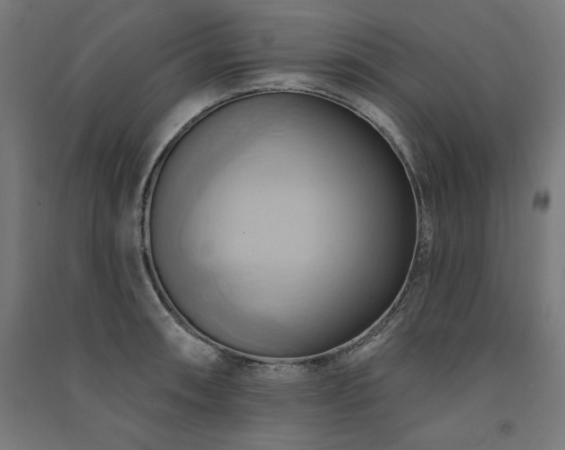 X0000091581090200708201202