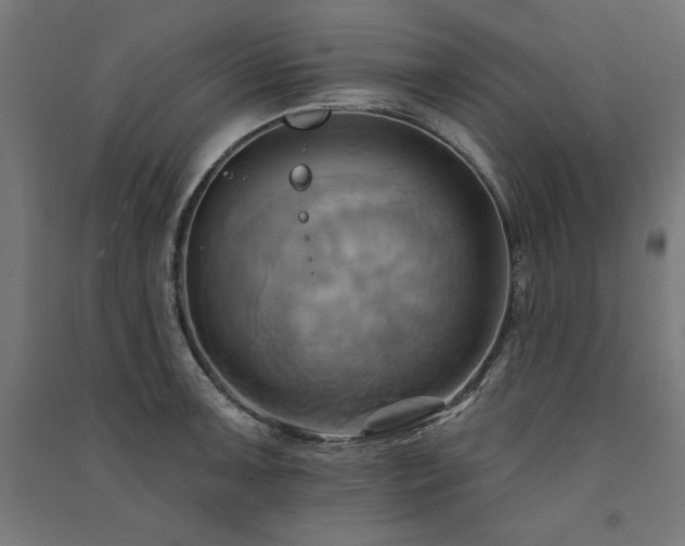 X0000091581091200708201202