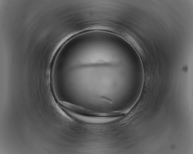 X0000091581092200708201202