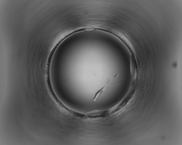 X0000091581093200708201202