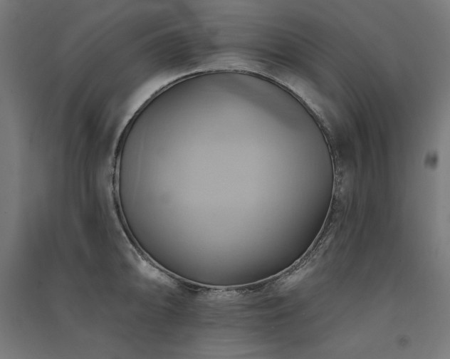 X0000091581094200708201202