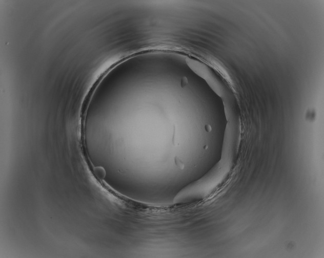 X0000091581095200708201202