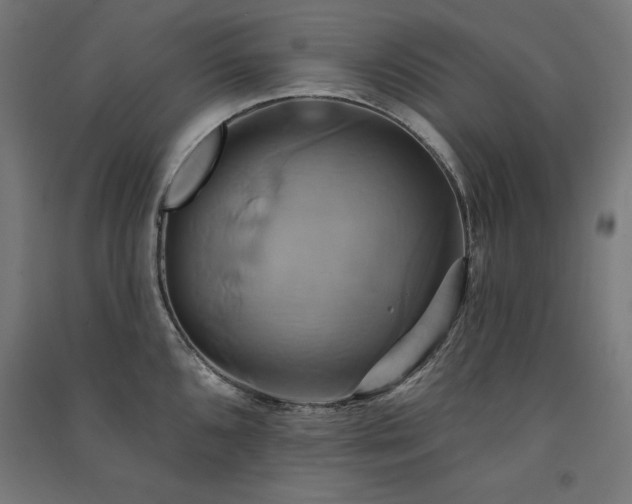 X0000091581096200708201202