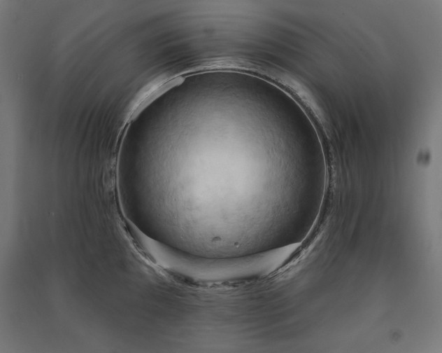X0000091581097200708201202