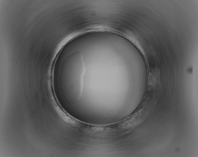 X0000091581098200708201202