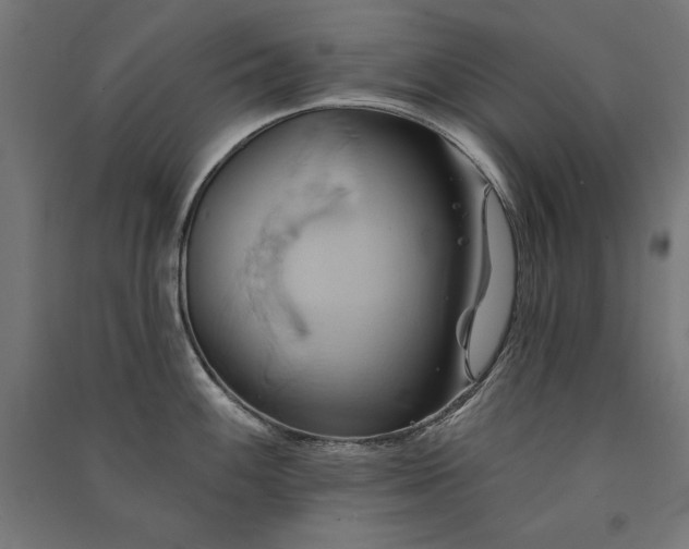 X0000091581100200708201202