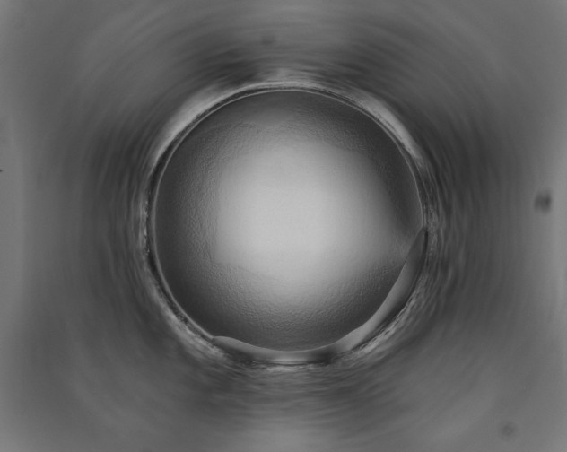 X0000091581101200708201202