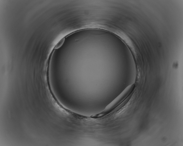 X0000091581102200708201202