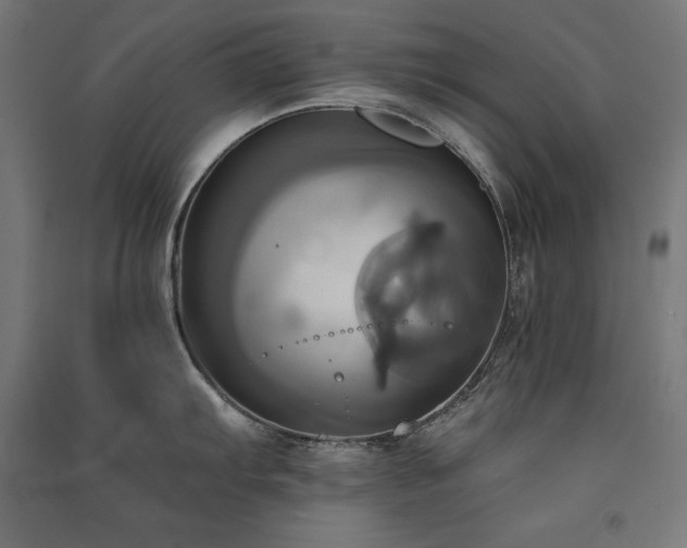 X0000091581103200708201202