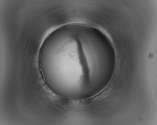X0000091581104200708201202