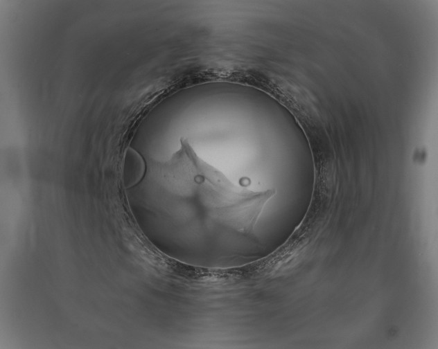 X0000091581105200708201201