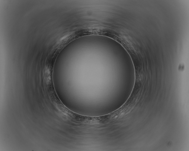 X0000091581106200708201201