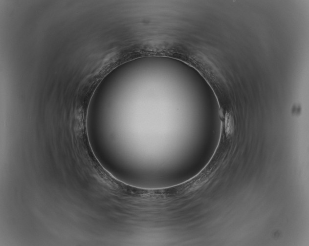 X0000091581107200708201201
