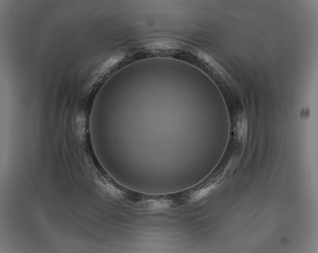 X0000091581108200708201201