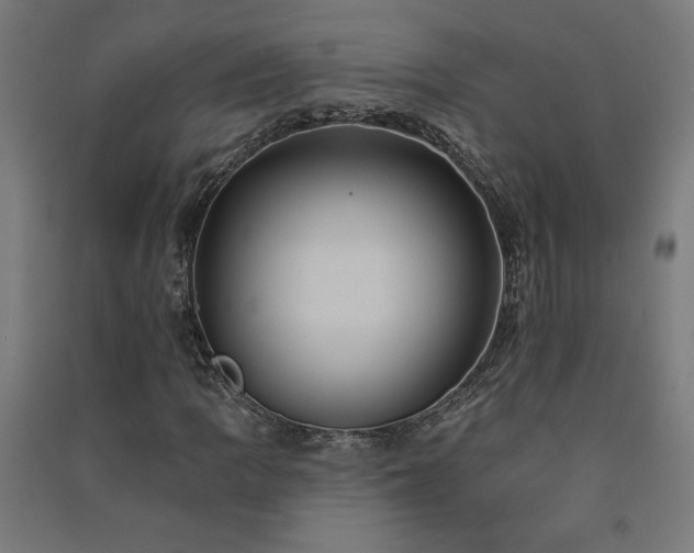 X0000091581109200708201201